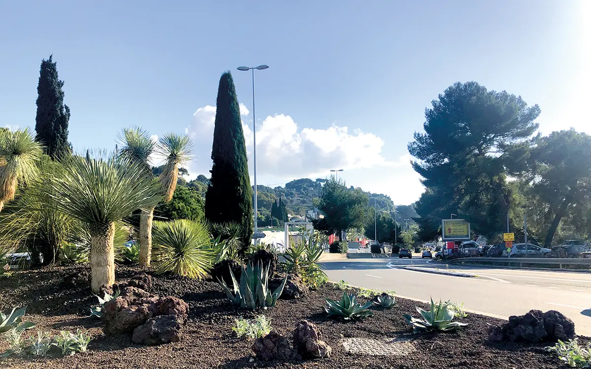 Une route bordée de plantes arides et de grands arbres, sous un ciel bleu, avec des voitures en arrière-plan.